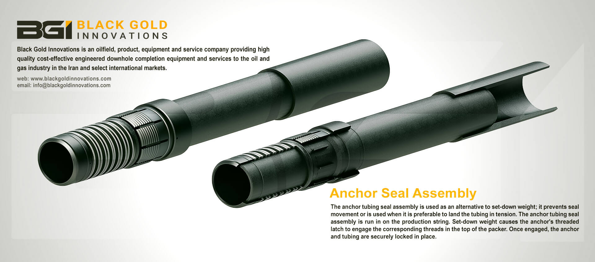 PACKER SYSTEM TOOLS-Anchor Seal Assembly