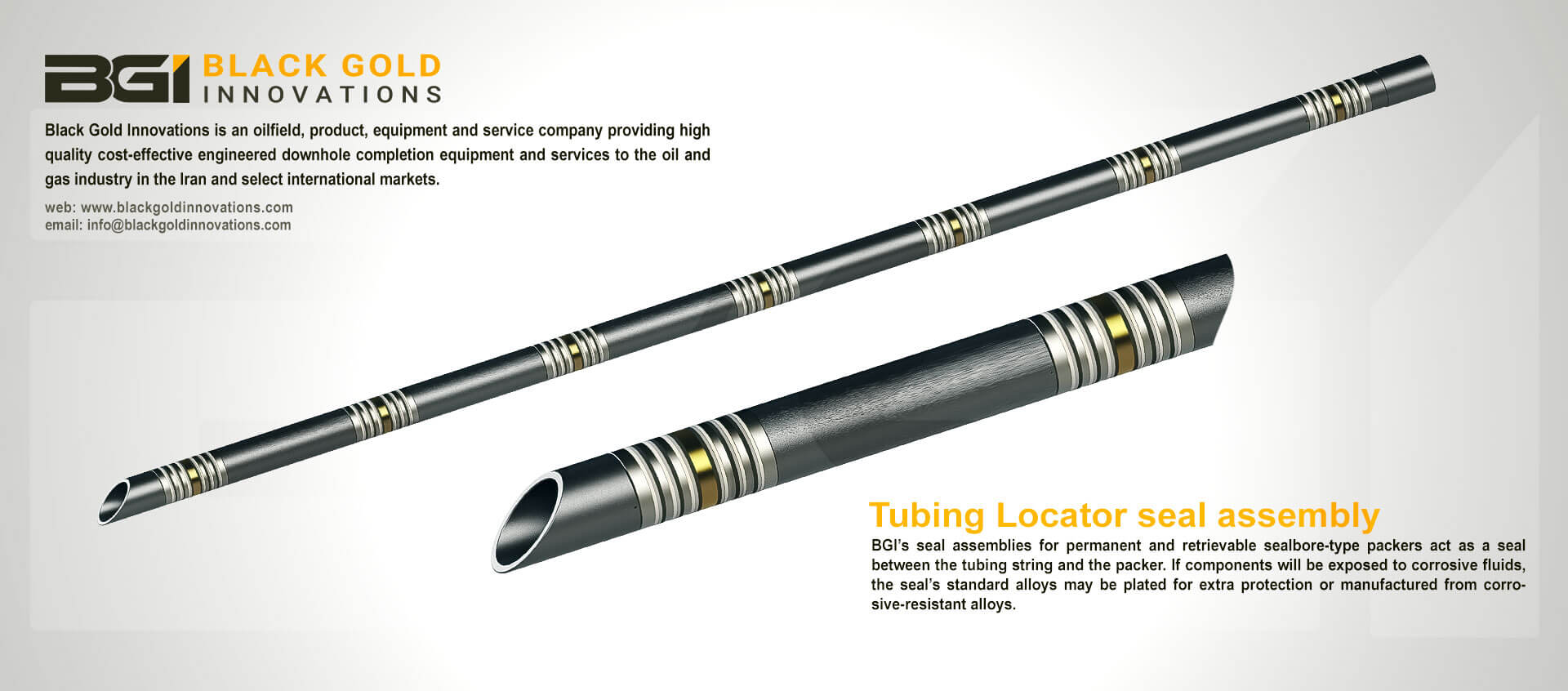 PACKER SYSTEM TOOLS-Tubing Locator seal assembly